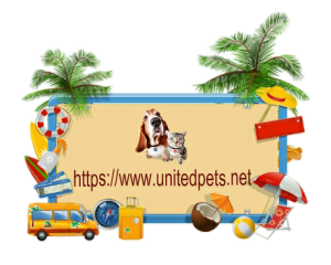 a unitedpets.net summer greeting